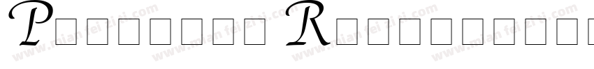 Palatino Regular字体转换